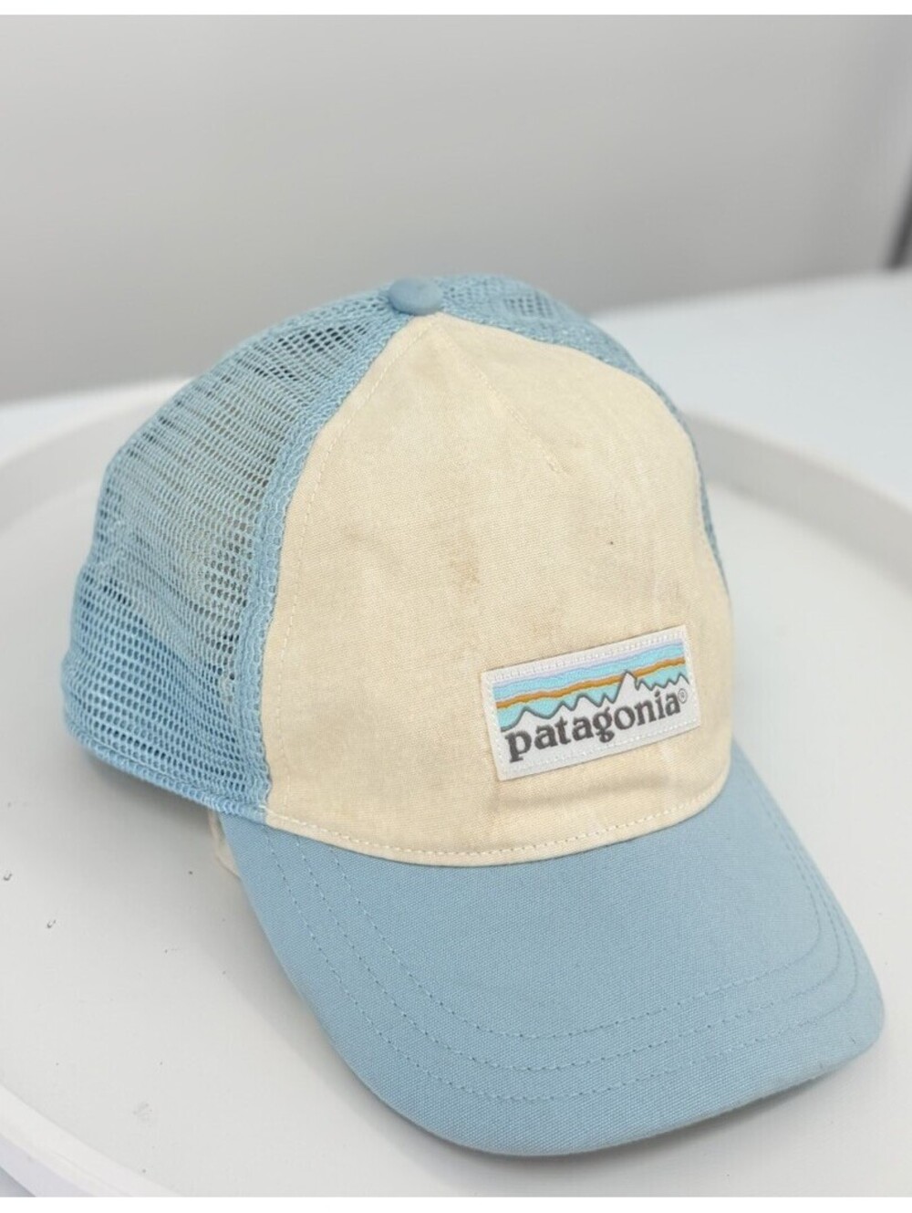 Patagonia Womens Pastel P-6 Label Layback Trucker Light Blue Mesh Back SnapBack